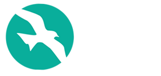 智慧海鸥 为设计而生